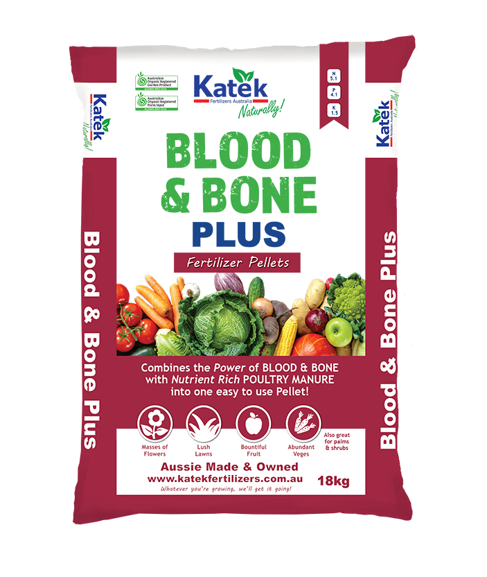 BLOOD & BONE PLUS