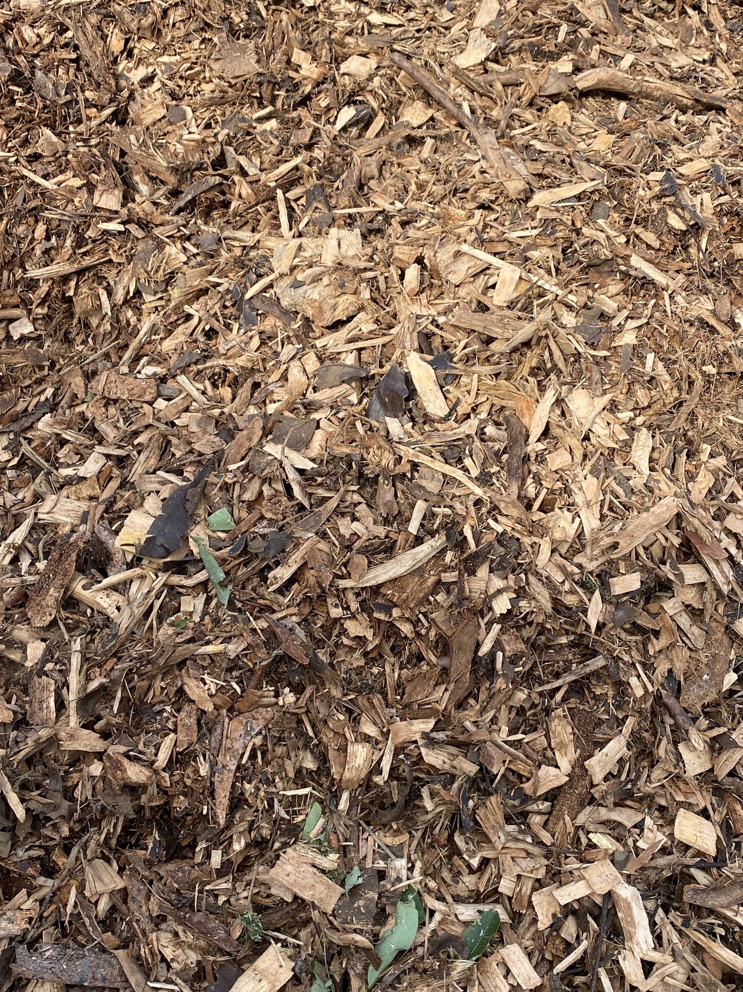Forest Mulch 0.50.³