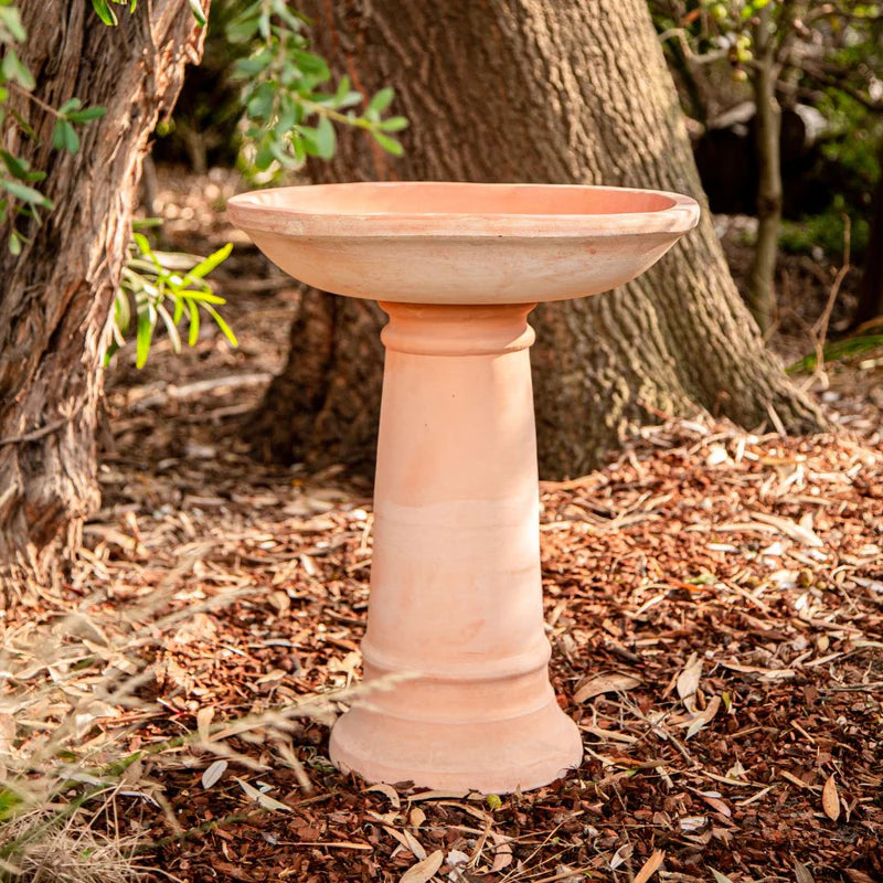 Siena Bird Bath - Terracotta