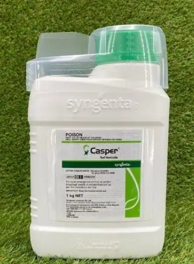 CASPER