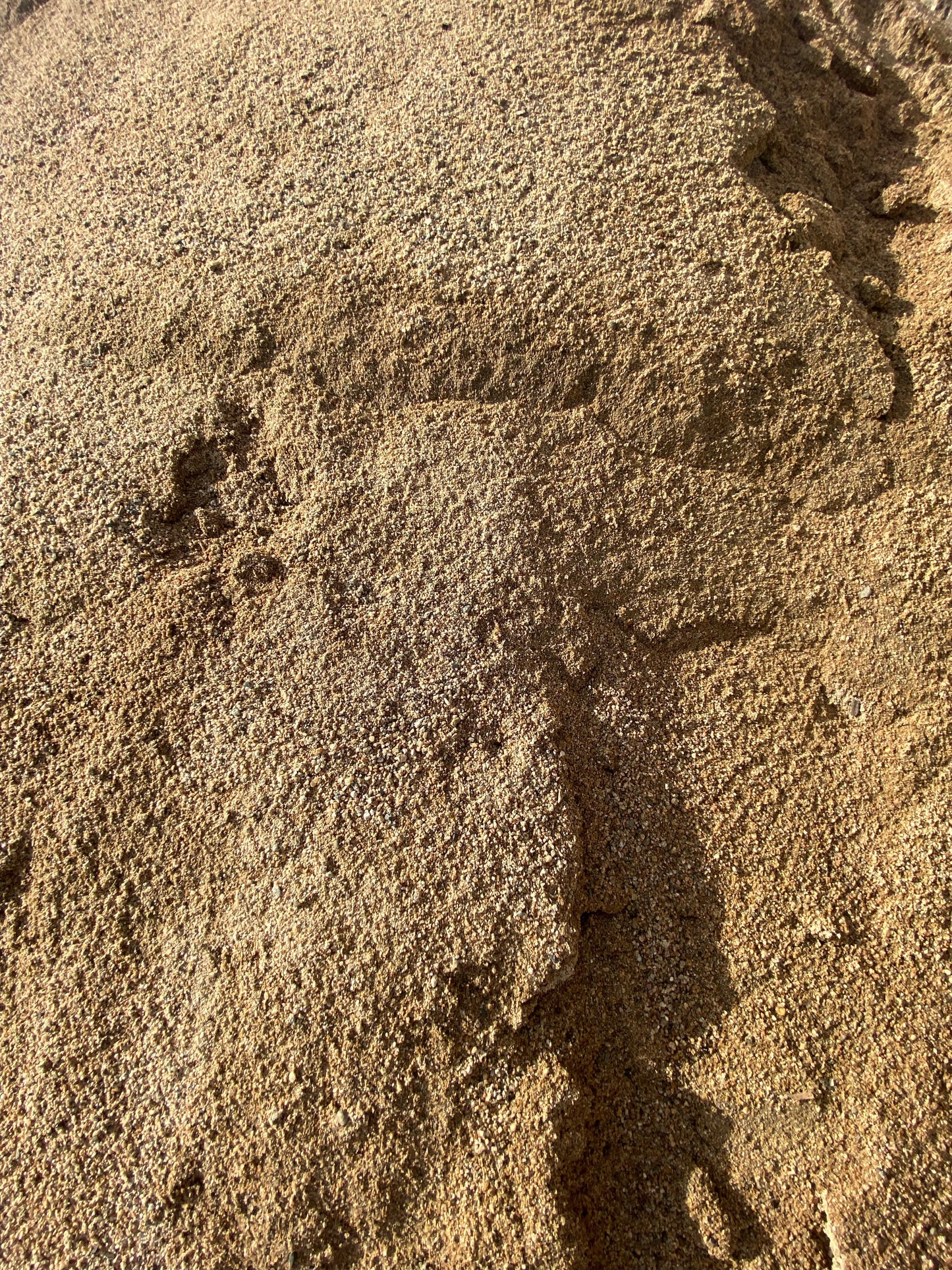 Coarse Sand 0.25m³