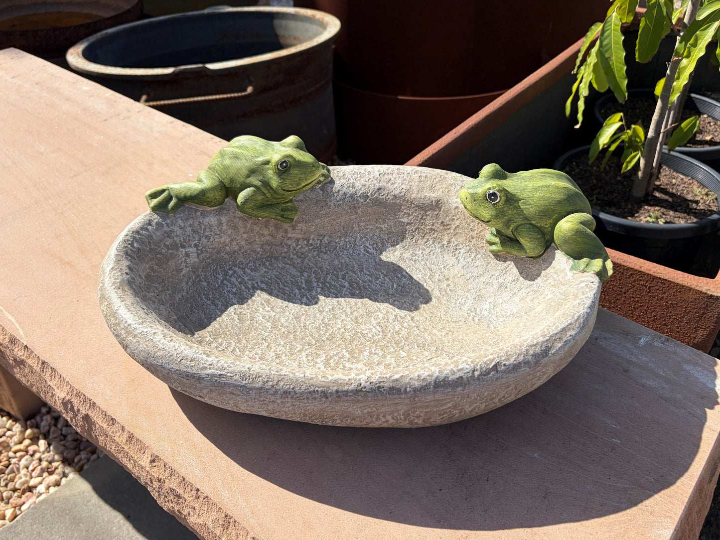 Frog Mates Bird Bath