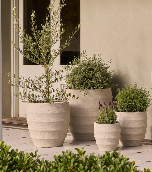 Horizon Egg Pot