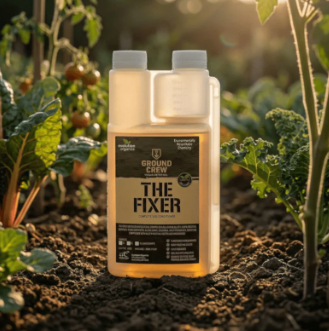 The Fixer