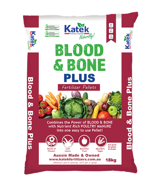 BLOOD & BONE PLUS