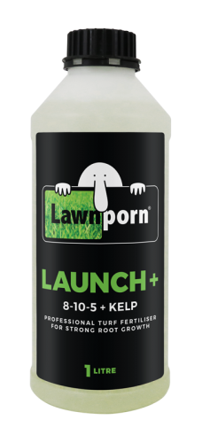 LAUNCH 1LITRE