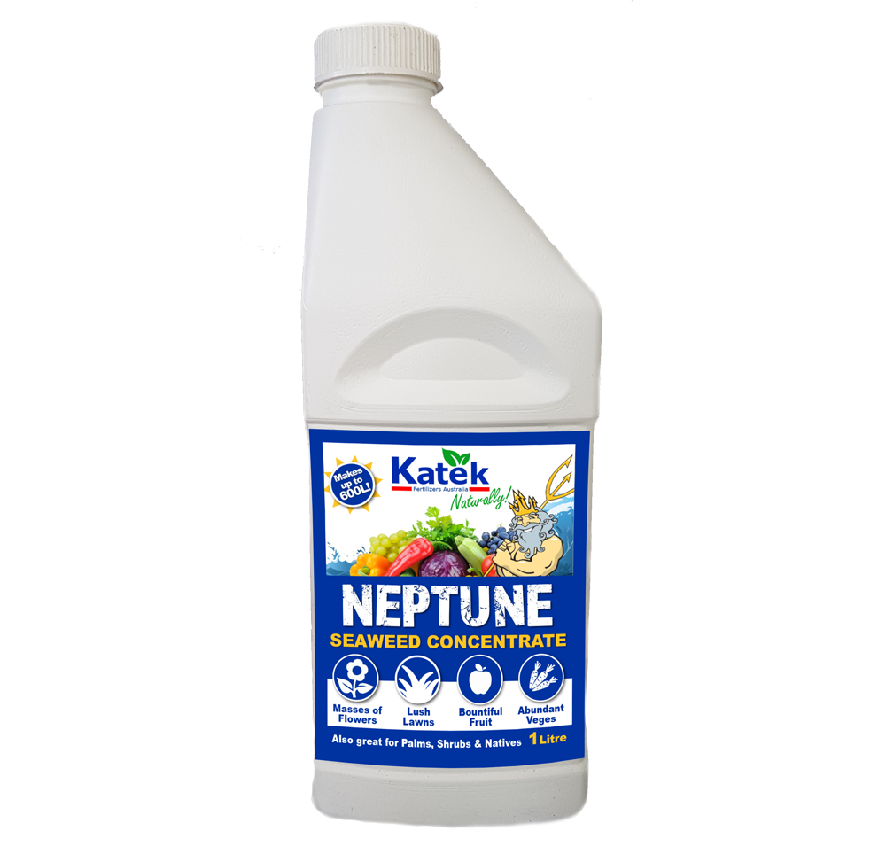 NEPTUNE SEAWEED CONCENTRATE