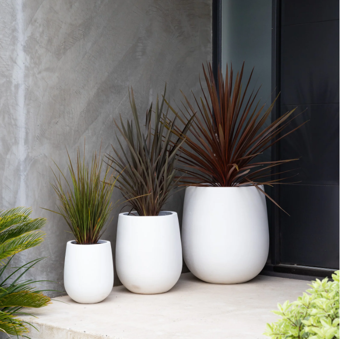 CIGAR POT