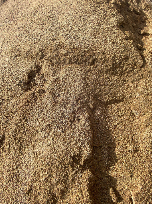 Coarse Sand 20 Litre Bag