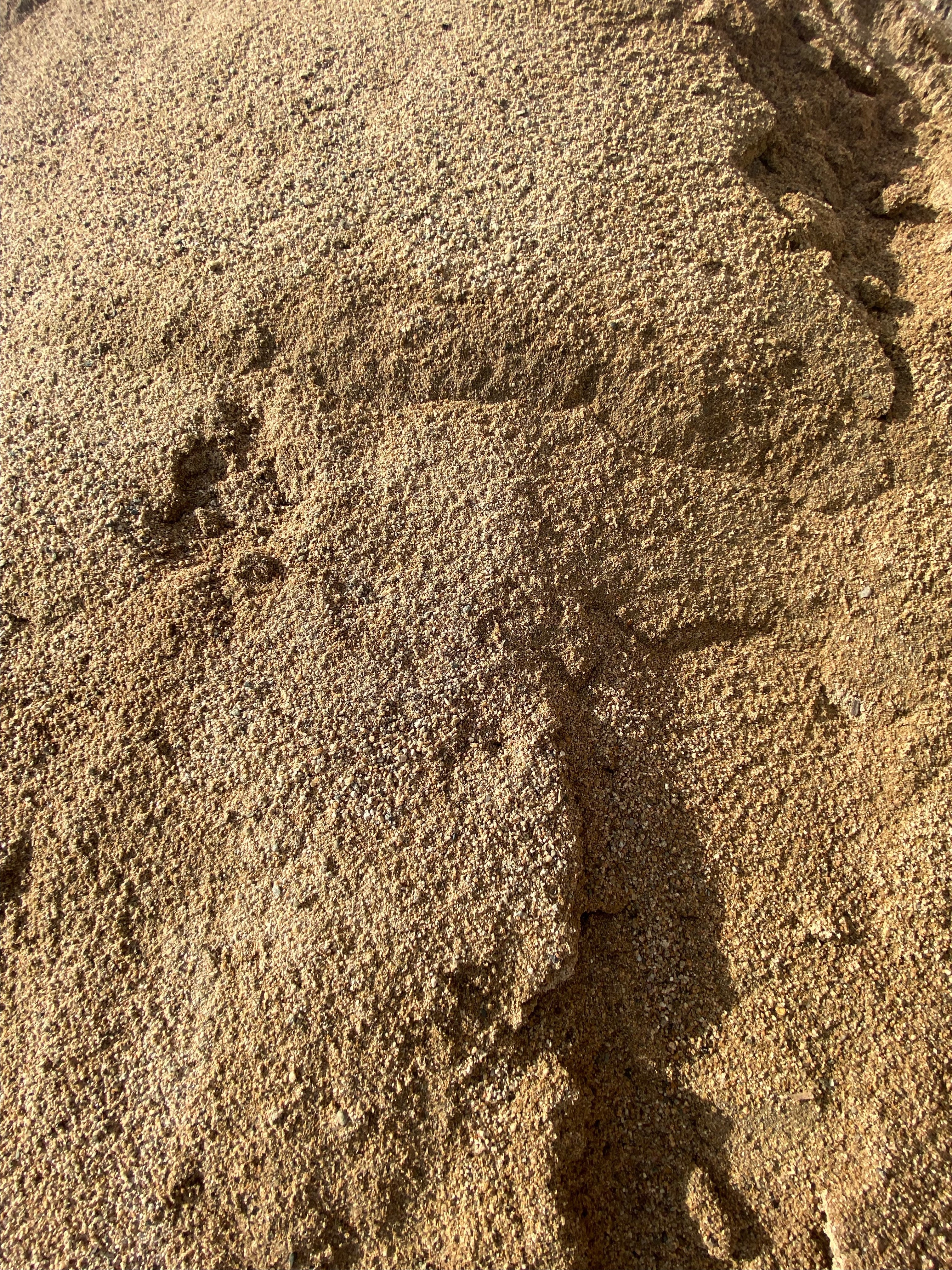 Coarse Sand 0.25m³ – Diggers Landscape Supplies
