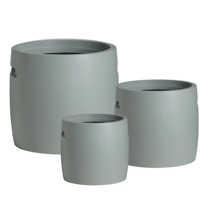 Elm Cylinder