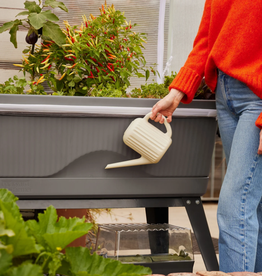 Georgie- The Self-Watering Planter