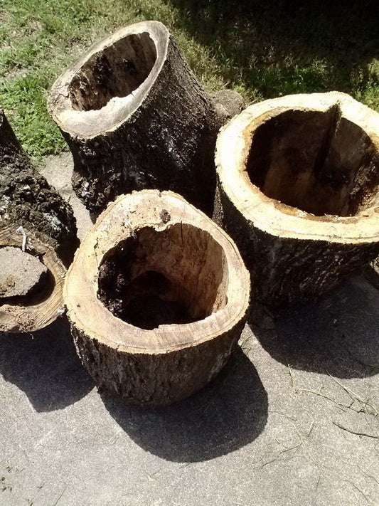 LOG