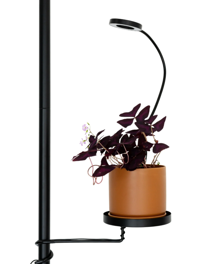Black Plant Pole Tray- Medium