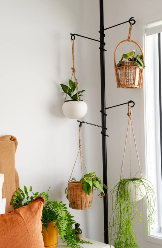 Tension Plant Pole with Hooks- Black
