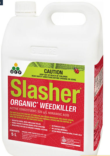Slasher