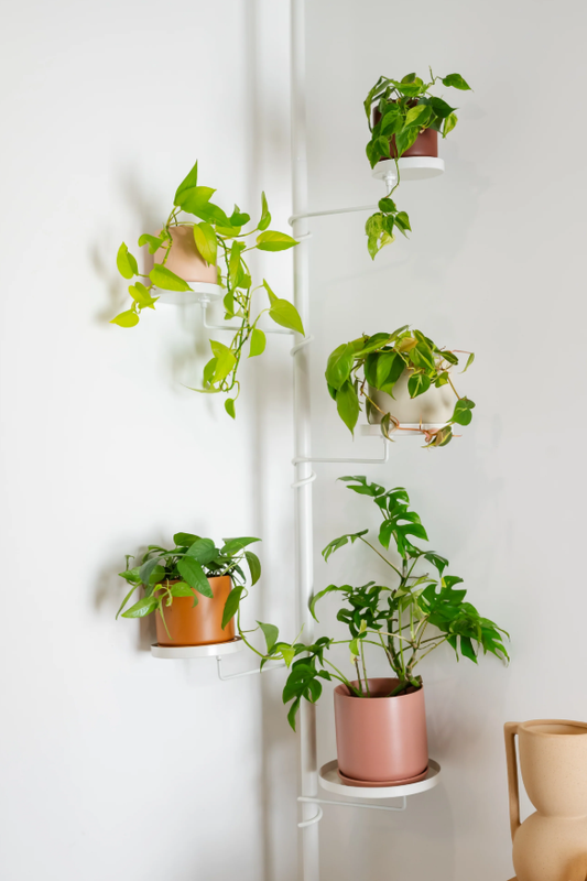 Tension Plant Pole with Trays- White