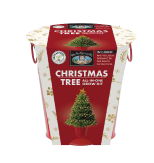 Christmas Tree Growing Kit